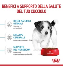 "Royal Canin Size Health Nutrition Puppy - Mini Dry Pet Food for Dog | Buy Now"