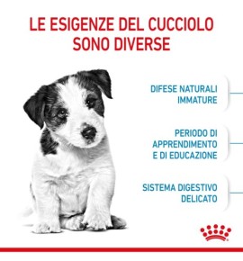 "Royal Canin Size Health Nutrition Puppy - Mini Dry Pet Food for Dog | Buy Now"