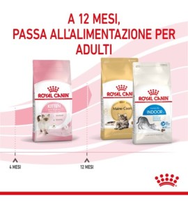 "Royal Canin Feline Health Nutrition Kitten Dry Pet Food for Cat - Complete and Balanced Nutrition for Your Growing Kitten"