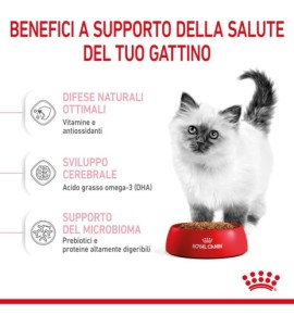 "Royal Canin Feline Health Nutrition Kitten Dry Pet Food for Cat - Complete and Balanced Nutrition for Your Growing Kitten"