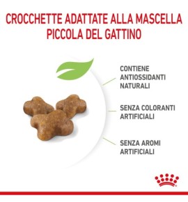 Royal Canin Feline Health Nutrition Kitten Dry Pet Food for Cat - Nutritious Formula for Growing Kittens
