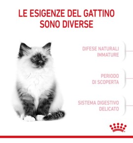 Royal Canin Feline Health Nutrition Kitten Dry Pet Food for Cat - Nutritious Formula for Growing Kittens