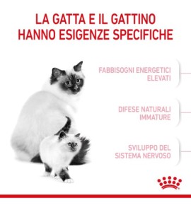 Royal Canin Feline Health Nutrition Mother & Babycat Dry Pet Food for Cat - Complete Nutrition for Kittens and Nursing Mothers