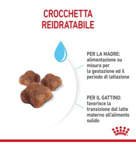 Royal Canin Feline Health Nutrition Mother & Babycat Dry Pet Food for Cat - Complete Nutrition for Kittens and Nursing Mothers