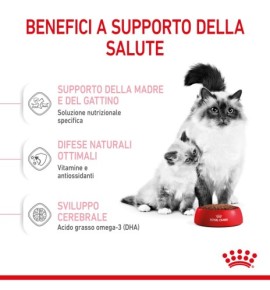Royal Canin Feline Health Nutrition Mother & Babycat Dry Pet Food for Cat - Complete Nutrition for Kittens and Nursing Mothers