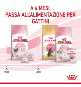 Royal Canin Feline Health Nutrition Mother & Babycat Dry Pet Food for Cat - Complete Nutrition for Kittens and Nursing Mothers