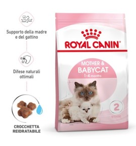 Royal Canin Feline Health Nutrition Mother & Babycat Dry Pet Food for Cat - Complete Nutrition for Kittens and Nursing Mothers