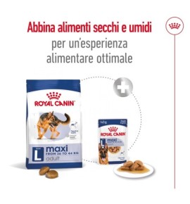 ROYAL CANIN® SIZE HEALTH NUTRITION MAXI ADULT - Alimento secco per cani adulti di taglia grande (26-44 kg) - Acquista ora!
