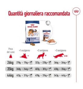 ROYAL CANIN® SIZE HEALTH NUTRITION MAXI ADULT - Alimento secco per cani adulti di taglia grande (26-44 kg) - Recensione e Prezzo