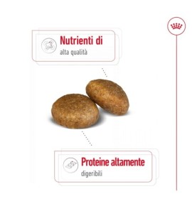 ROYAL CANIN® SIZE HEALTH NUTRITION MAXI ADULT - Alimento secco per cani adulti di taglia grande (26-44 kg) - Recensione e Prezzo