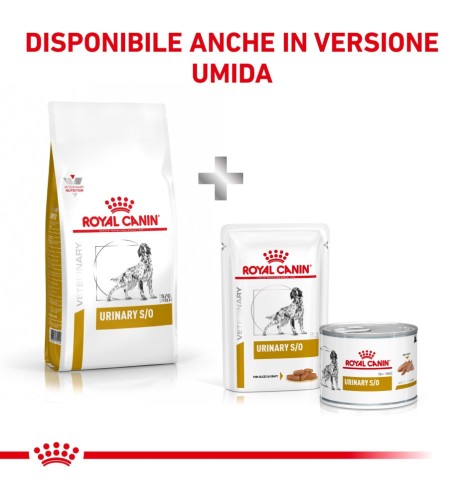 ROYAL CANIN® VETERINARY HEALTH NUTRITION URINARY S/O SMALL DOG - Alimento secco per cani con problemi urinari