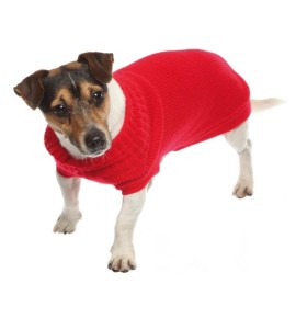 Maglioncino per cani Siviglia rosso Croci