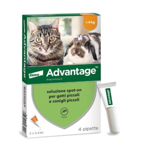 Advantage spot-on gatti e conigli- antiparassitario efficace Advantage spot-on gatti e conigli- antiparassitario efficace