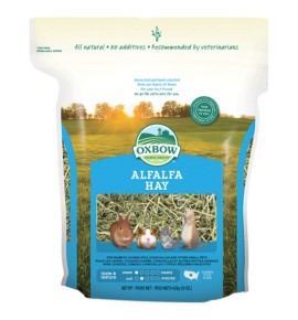 Alfalfa Hay per conigli e roditori | foraggio nutriente