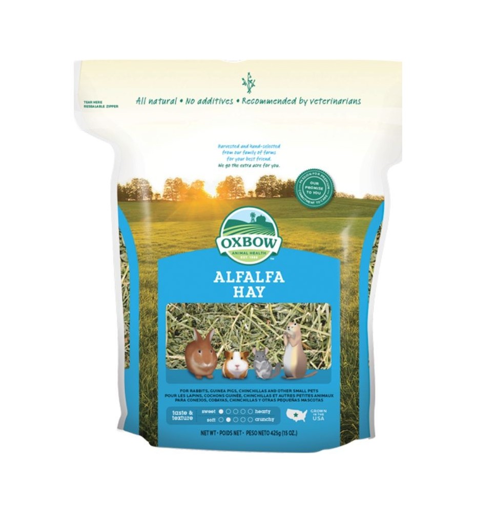 Alfalfa Hay per conigli e roditori | foraggio nutriente