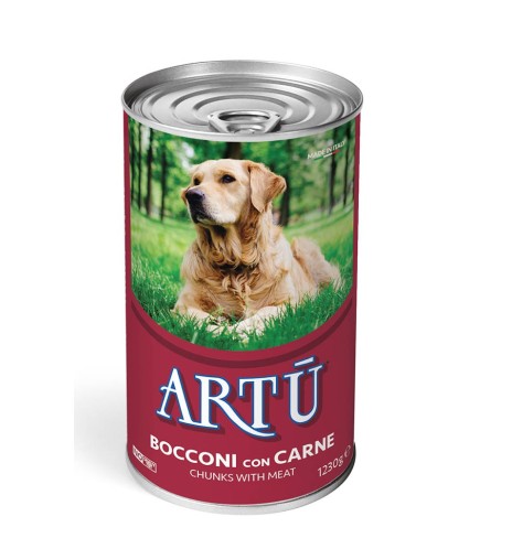 Artù Bocconi con Carne