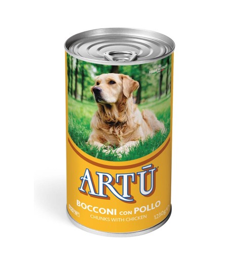 Artù Bocconi con Pollo