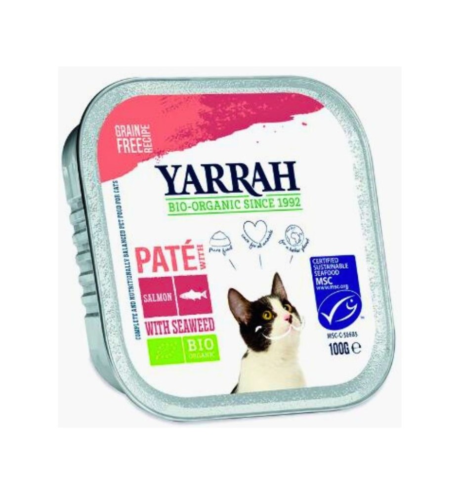 Paté Bio per gatti al salmone e alghe - Naturale e gustoso