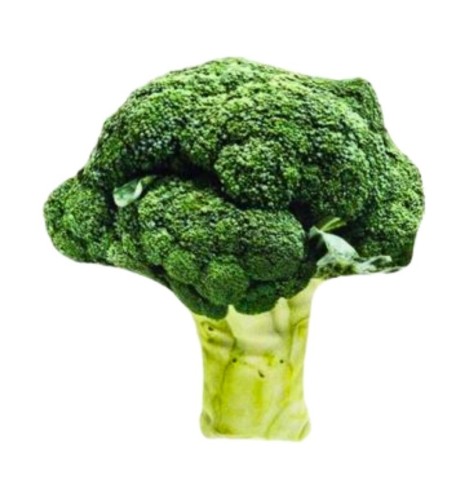 Gioco broccolo Ferribiella – Peluche per gatti Gioco broccolo Ferribiella – Peluche per gatti