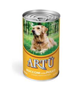 Artù Bocconi con Pollo