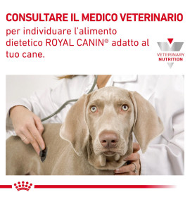 Royal Canin Veterinary Health Nutrition Hepatic Wet Pet Food for Dogs | Liver Support Formula