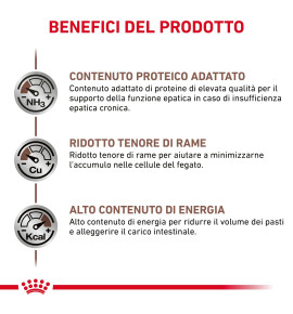 Royal Canin Veterinary Health Nutrition Hepatic Wet Pet Food for Dogs | Liver Support Formula