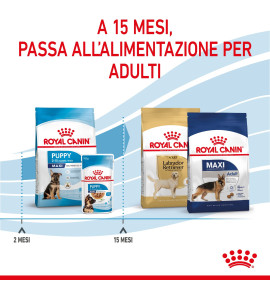 ROYAL CANIN SIZE HEALTH NUTRITION PUPPY - MAXI Dry Pet Food: Complete Nutrition for Large Breed Puppies