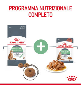 Royal Canin Feline Care Nutrition Digestive Care Dry Pet Food for Cats - Premium Digestive Support Formula