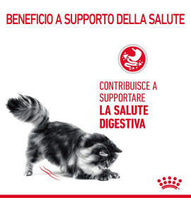 ROYAL CANIN® FELINE CARE NUTRITION DIGESTIVE CARE Dry Pet Food for Cat - Promote Digestive Health with Premium Nutrition