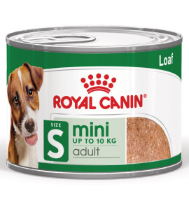 ROYAL CANIN® SIZE HEALTH NUTRITION MINI ADULT 8+ - Alimento secco per cani maturi di taglia piccola (fino a 10 kg) | Acquista or