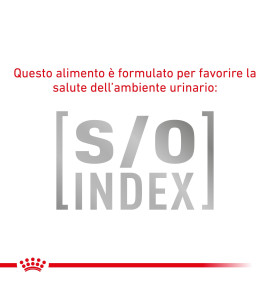 ROYAL CANIN® VETERINARY HEALTH NUTRITION EARLY RENAL - Alimento secco per gatti | Supporto alla salute renale | Acquista online