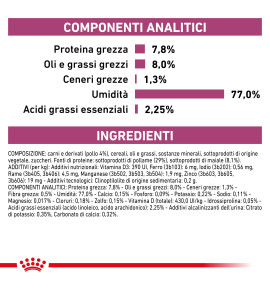 "Royal Canin Veterinary Health Nutrition Renal with Chicken - Alimento umido per gatti specializzato"