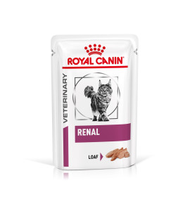 ROYAL CANIN® VETERINARY HEALTH NUTRITION RENAL Alimento umido per gatti - Supporto nutrizionale per gatti con problemi renali
