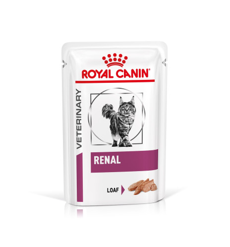 ROYAL CANIN® VETERINARY HEALTH NUTRITION RENAL Alimento umido per gatti - Supporto nutrizionale per gatti con problemi renali