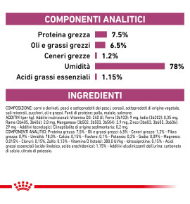 ROYAL CANIN® VETERINARY HEALTH NUTRITION RENAL Alimento umido per gatti - Supporto nutrizionale per gatti con problemi renali