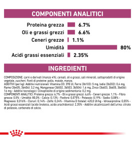 ROYAL CANIN® VETERINARY HEALTH NUTRITION RENAL WITH BEEF - Alimento umido per gatti | Supporto renale | Ingredienti di alta qual
