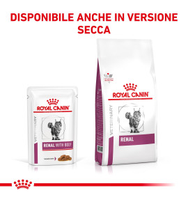 ROYAL CANIN® VETERINARY HEALTH NUTRITION RENAL WITH BEEF - Alimento umido per gatti | Supporto renale | Ingredienti di alta qual