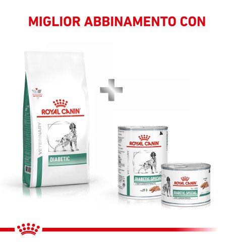 ROYAL CANIN® VETERINARY HEALTH NUTRITION DIABETIC Alimento secco per cani | Supporto nutrizionale per cani diabetici