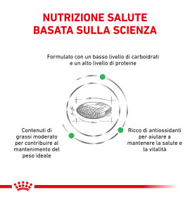 ROYAL CANIN® VETERINARY HEALTH NUTRITION DIABETIC Alimento secco per cani | Supporto nutrizionale per cani diabetici