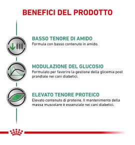ROYAL CANIN® VETERINARY HEALTH NUTRITION DIABETIC Alimento secco per cani - Recensione e prezzi migliori 2022
