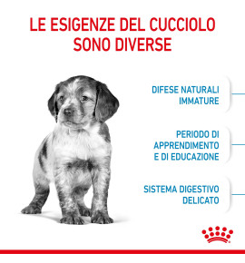 "Royal Canin Size Health Nutrition Puppy - Medium Dry Pet Food for Dog | Complete & Balanced Nutrition for Growing Puppies"