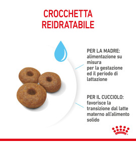 ROYAL CANIN SIZE HEALTH NUTRITION STARTER Mother & Babydog - MAXI Dry Pet Food for Dog | Buy Online Now
