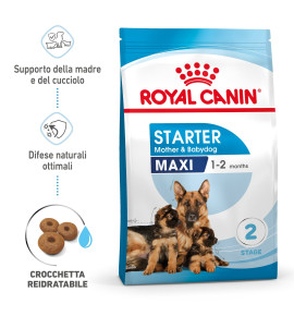 ROYAL CANIN SIZE HEALTH NUTRITION STARTER Mother & Babydog - MAXI Dry Pet Food for Dog | Buy Online Now