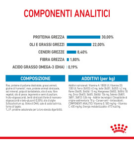 ROYAL CANIN SIZE HEALTH NUTRITION STARTER Mother & Babydog - MAXI Dry Pet Food for Dog | Buy Online Now
