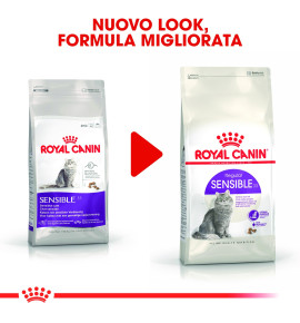 Royal Canin Feline Health Nutrition Sensible 33 Dry Pet Food - Best Food for Cats