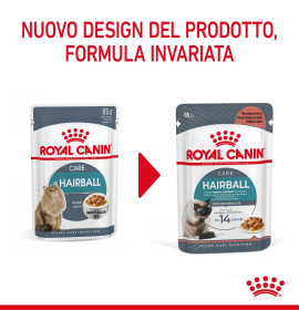 "ROYAL CANIN® FELINE CARE NUTRITION HAIRBALL CARE Dry Pet Food for Cats - Promotes Healthy Digestion and Reduces Hairballs"