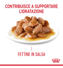 "ROYAL CANIN® FELINE CARE NUTRITION HAIRBALL CARE Dry Pet Food for Cats - Promotes Healthy Digestion and Reduces Hairballs"