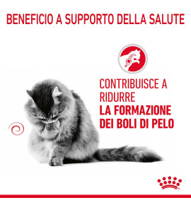 ROYAL CANIN® FELINE CARE NUTRITION HAIRBALL CARE Dry Pet Food for Cat – Promotes Healthy Digestion and Reduces Hairballs