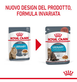 ROYAL CANIN® FELINE CARE NUTRITION URINARY CARE Dry Pet Food for Cat: Support your cat's urinary health