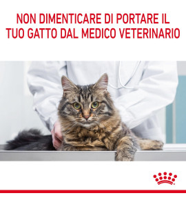 ROYAL CANIN® FELINE CARE NUTRITION URINARY CARE Dry Pet Food for Cat: Support your cat's urinary health